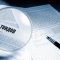 Can a newcomer company win a tender?