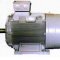 High efficiency of Remeza electric motors