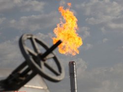 Новое месторождение нефти открыли в Беларуси 