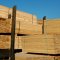 World trade in sawn softwood is growing