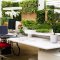 Benefits of living plants in the office