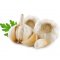 Buy wholesale garlic