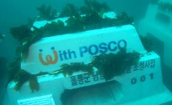 POSCO: использует шлак для создания морской экосистемы