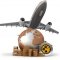 Preliminary calculation of air cargo transportation