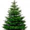 Artificial Christmas tree at a summer price