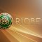 Riobet online casino bonus program