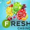 Terms of play at Fresh Casino